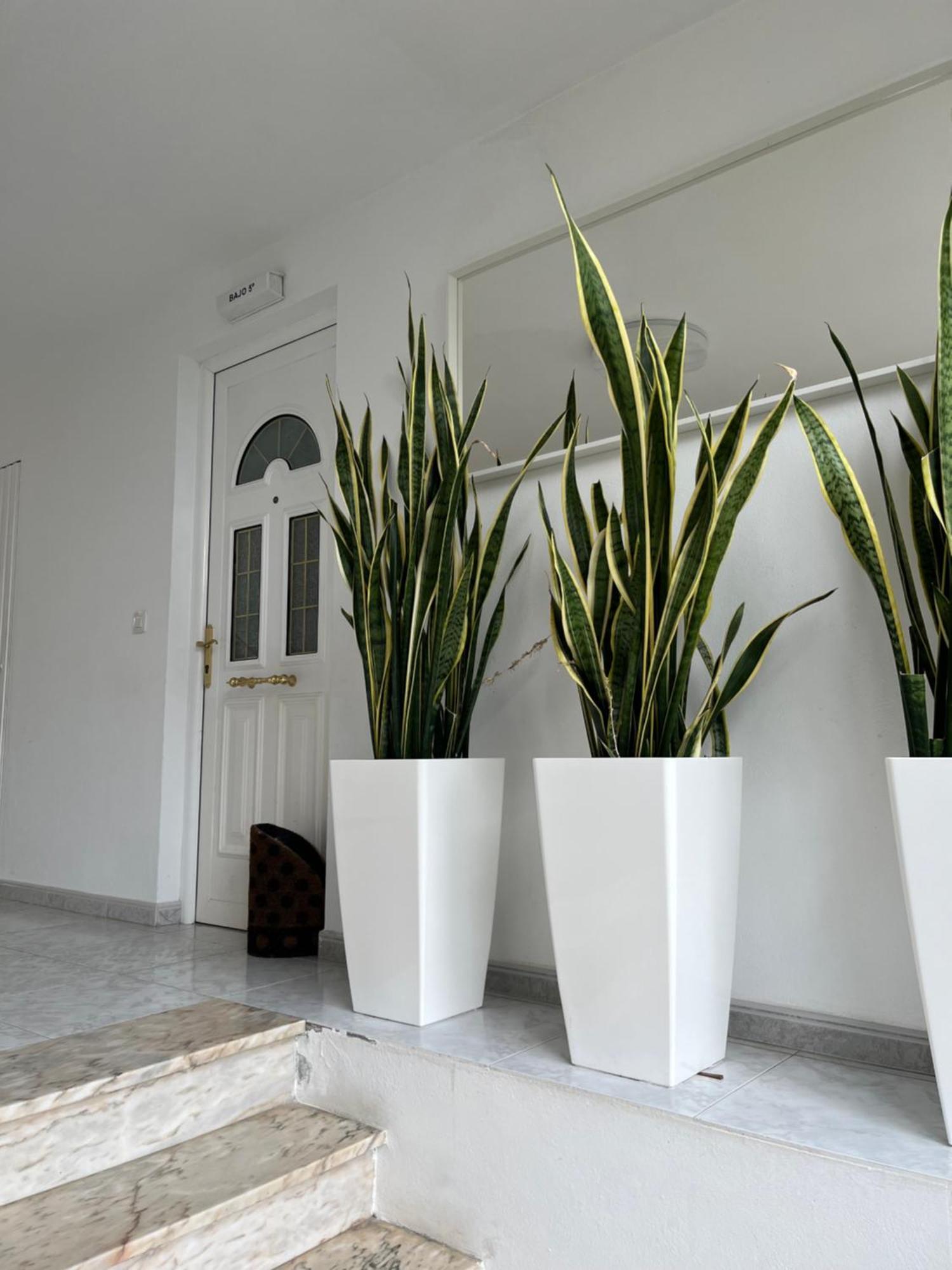 Apartamento En Sardineiro, Finisterre B5 Buitenkant foto